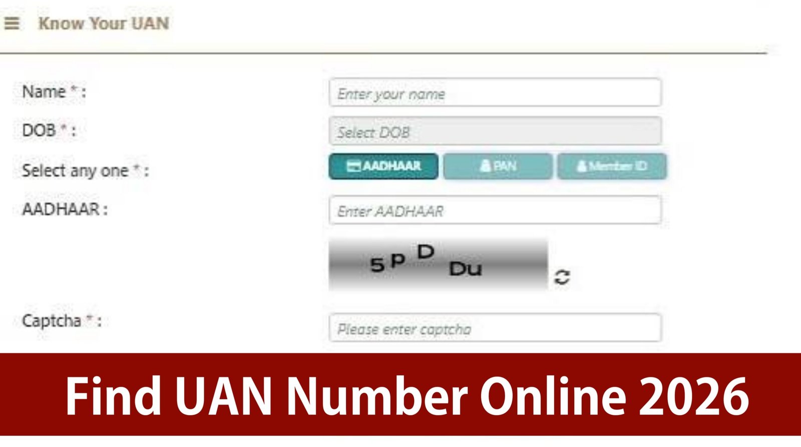 Find UAN Number Online 2026